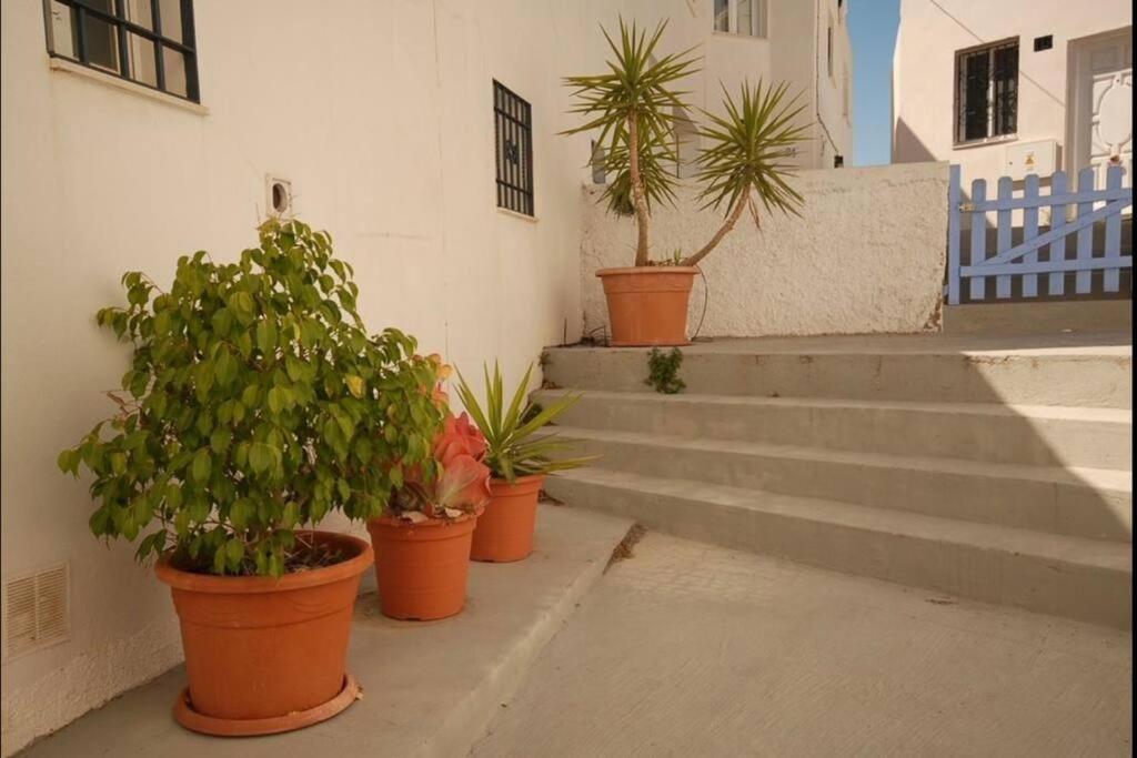 Casamar Villa Almeria Ngoại thất bức ảnh